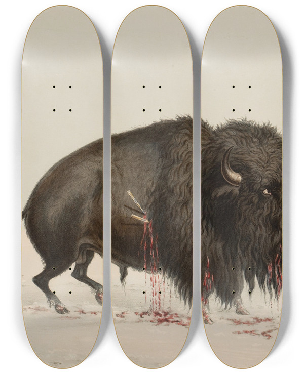 Triptych art skateboard deck of George Catlin Wounded Buffalo Bull by George Catlin (1796-1872)