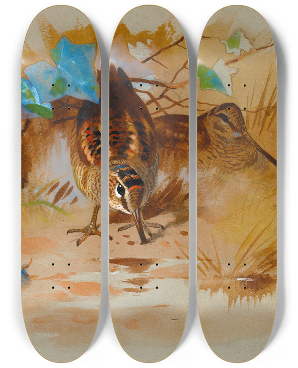 Triptych art skateboard deck of Archibald Thorburn Woodcock In A Sandy Hollow by Archibald Thorburn (1860-1935)
