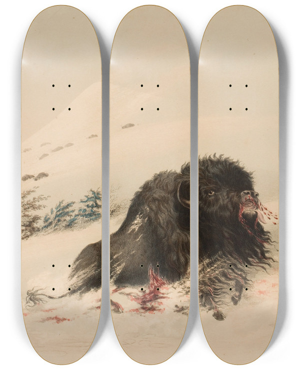 Triptych art skateboard deck of George Catlin Buffalo Bull In Snow Drift by George Catlin (1796-1872)