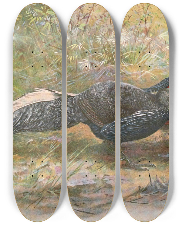 Triptych art skateboard deck of George Edward Lodge Oatess Hybrid Kaleege by George Edward Lodge (1860-1954)