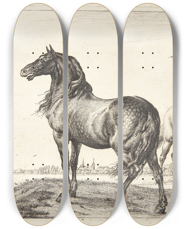 Triptych art skateboard deck of Paulus Potter Vrinskende Hest by Paulus Potter (1625-1654)