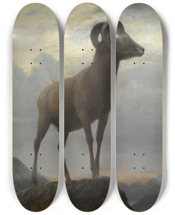 Triptych art skateboard deck of Albert Bierstadt Study Of A Bighorn Ram by Albert Bierstadt (1830-1902)