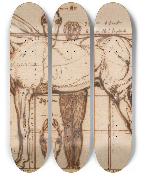 Triptych art skateboard deck of William Mulready Anatomical Study Of A Horse by William Mulready (1786-1863)