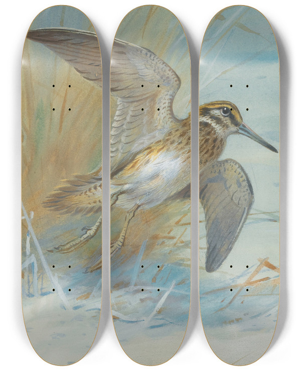Triptych art skateboard deck of Archibald Thorburn Jack Snipe Rising by Archibald Thorburn (1860-1935)