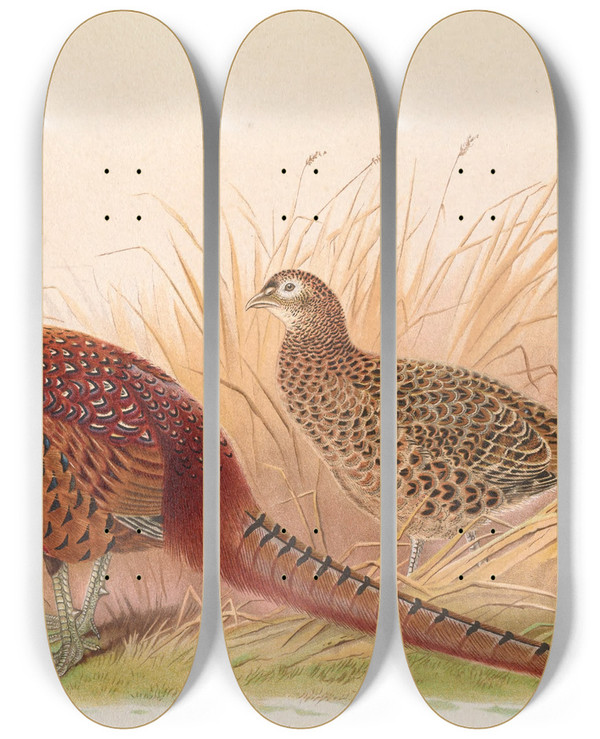Triptych art skateboard deck of Henry Jones Rion Caucasian Pheasant by Henry Jones (1838-1921)