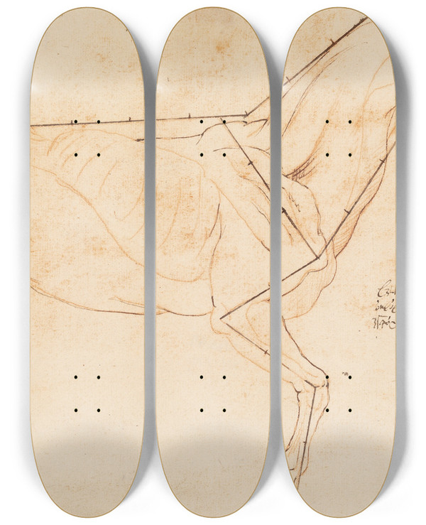 Triptych art skateboard deck of Willem Panneels Anatomisk Og Proportionsstudie En Hest_1 by Willem Panneels (1600-1634)