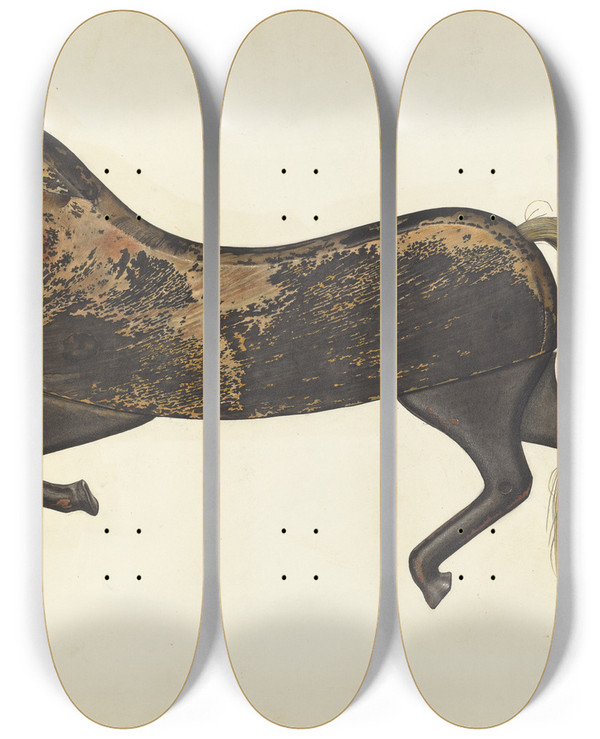 Triptych art skateboard deck of Selma Sandler Weather Vane_3 by Selma Sandler