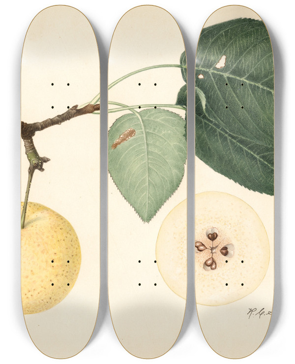 Triptych art skateboard deck of Royal Charles Steadman Pyrus Communis_2 by Royal Charles Steadman (1875-1964)