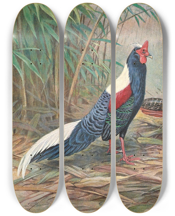 Triptych art skateboard deck of George Edward Lodge Swinhoes Kaleege by George Edward Lodge (1860-1954)