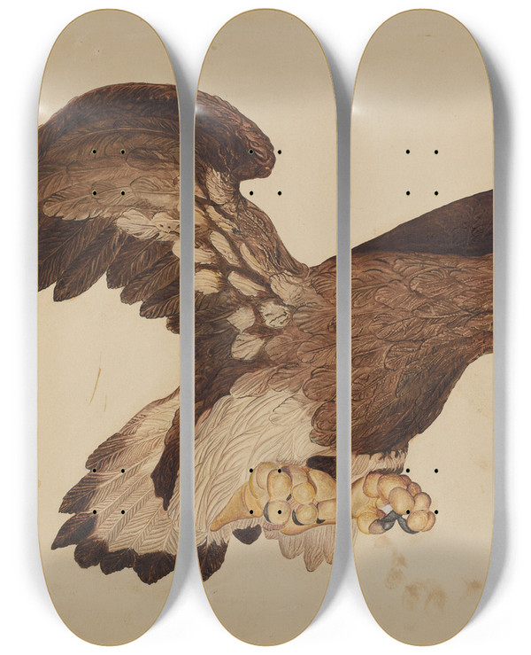Triptych art skateboard deck of Robert Gilson Carved Wooden Eagle by Robert Gilson
