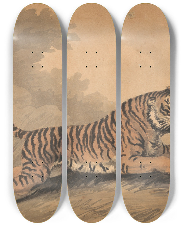 Triptych art skateboard deck of Samuel Howitt A Tigress Leaping To The Right by Samuel Howitt (1756-1822)