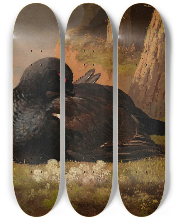 Triptych art skateboard deck of Ferdinand Von Wright Black Grouse by Ferdinand von Wright (1822-1906)