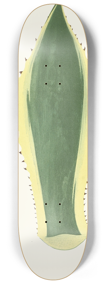 Edward Joseph Lowe - Agave Americana 8.25 inch art skate deck
