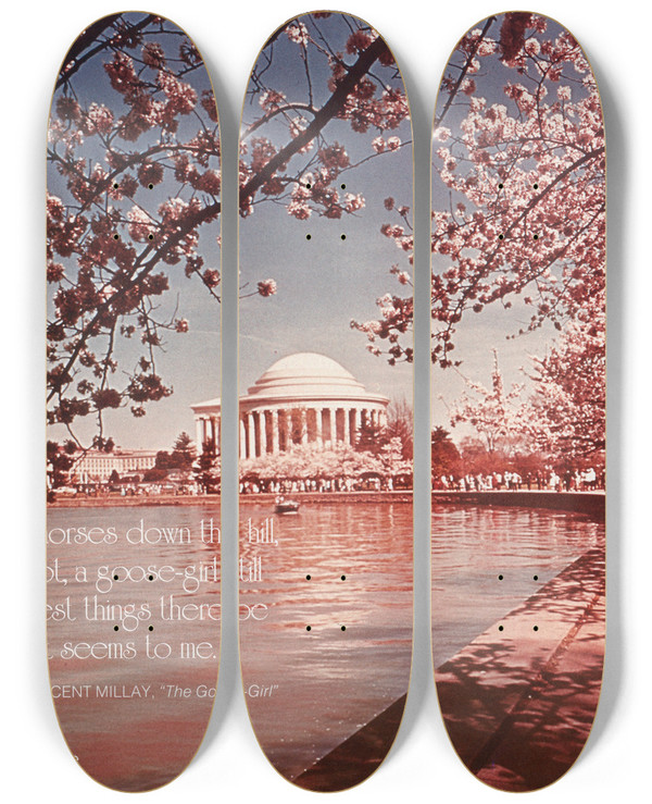 Triptych art skateboard deck of Us Information Agency Scenically Yours Tidal Basin At Cherry Blossom Time Washington Dc by U S Information Agency (1953-1999)