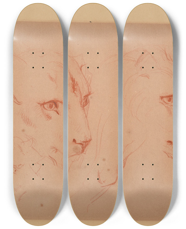 Triptych art skateboard deck of Jacquesraymond Brascassat Tudes De Ttes De Lions by Jacques Raymond Brascassat (1804-1867)