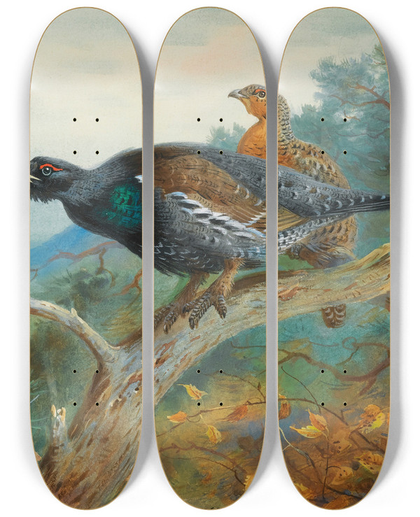 Triptych art skateboard deck of Archibald Thorburn Capercaillie by Archibald Thorburn (1860-1935)