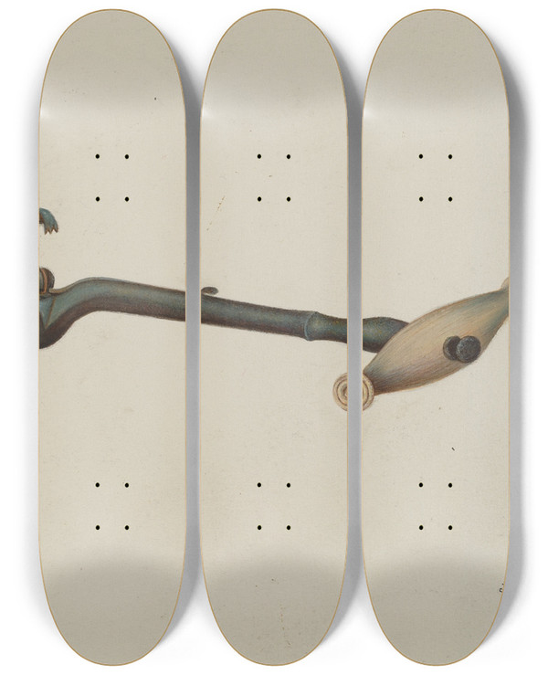 Triptych art skateboard deck of Joseph Cannella Tooth Puller by Joseph Cannella