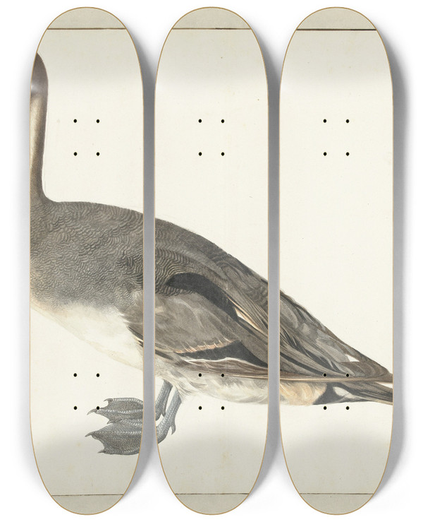 Triptych art skateboard deck of Rochus Van Veen Drake Pintail by Rochus van Veen (1630-1693)