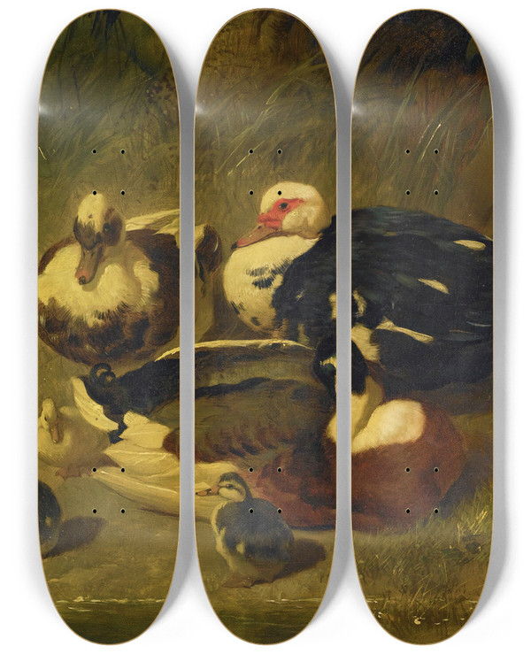 Triptych art skateboard deck of John Frederick Herring Snr Muscovy Ducks And Ducklings by John Frederick Herring Snr (1795-1865)