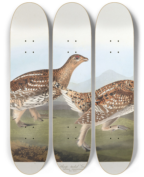 Triptych art skateboard deck of John James Audubon Sharptailed Grous by John James Audubon (1785-1851)