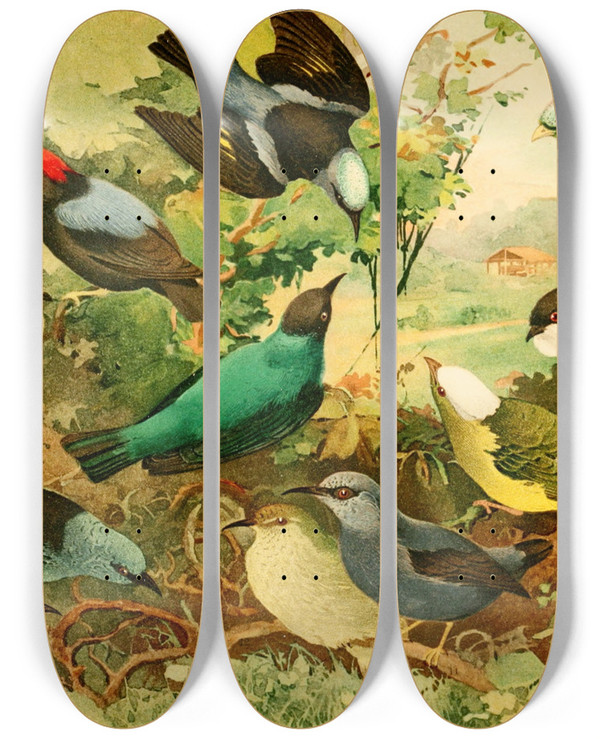 Triptych art skateboard deck of Emil August Gldi Uirpurs Rendeiras Sahys by Emil August Goldi (1859-1917)