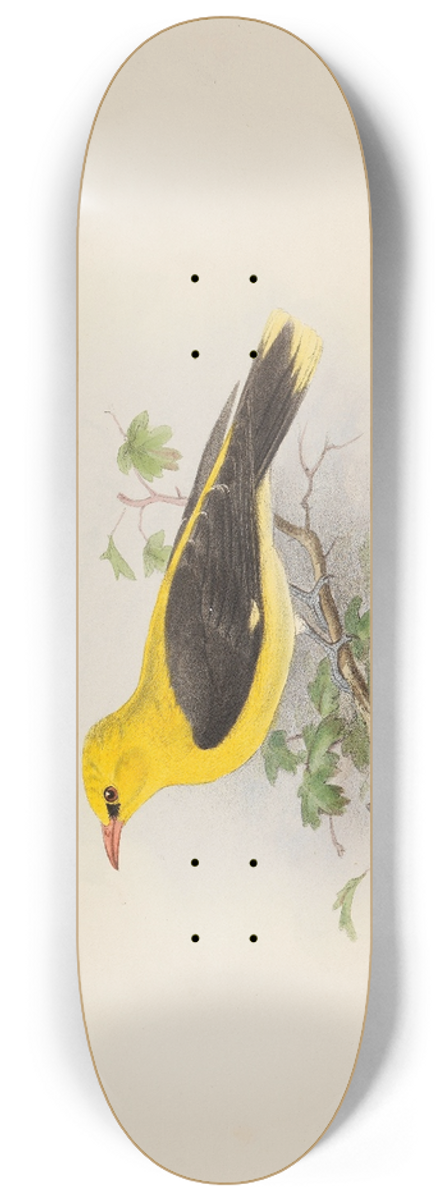 Edwin Carton Booth - Golden Creole 8.25 inch art skate deck