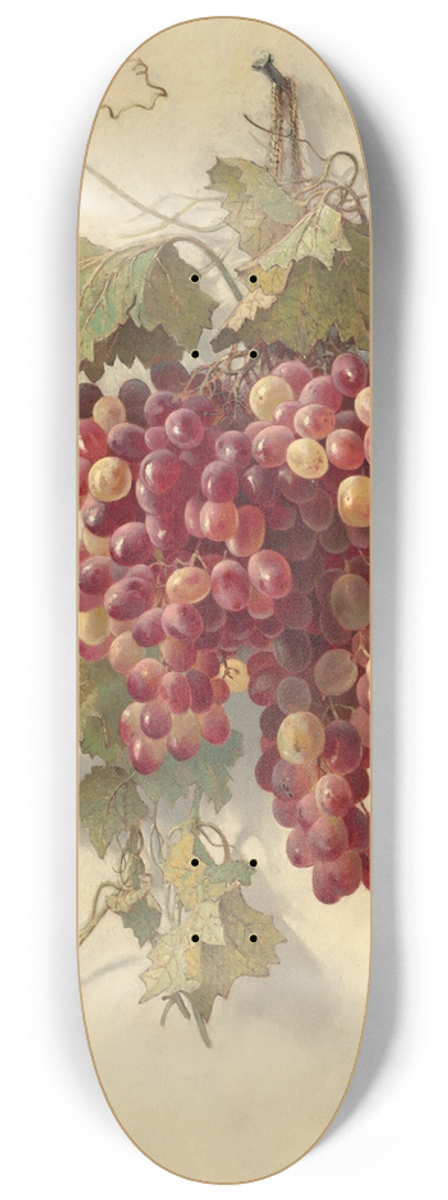 Edwin Deakin - Grapes Against White Wall 8.25 inch art skate deck