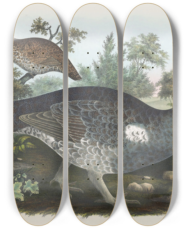 Triptych art skateboard deck of Daniel Giraud Elliot Dusky Grouse by Daniel Giraud Elliot (1835-1915)