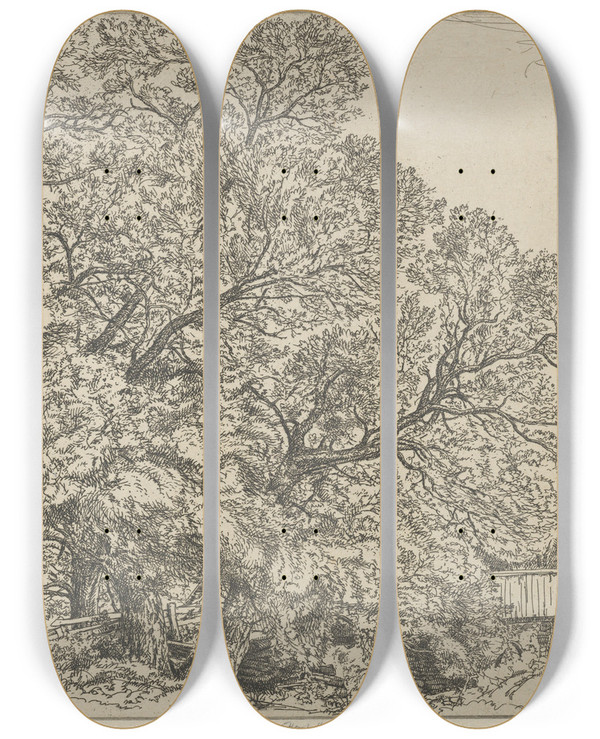 Triptych art skateboard deck of Ernest Haskell Alna Willows by Ernest Haskell (1876-1925)