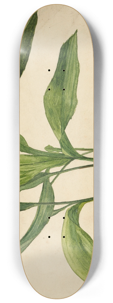 Egon Schiele - Topfpflanze (Schlerarbeit) 8.25 inch art skate deck