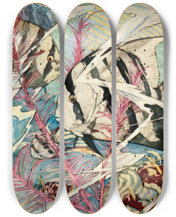 Triptych art skateboard deck of Stephen Haweis Atlantic Spadefish by Stephen Haweis (1878-1969)