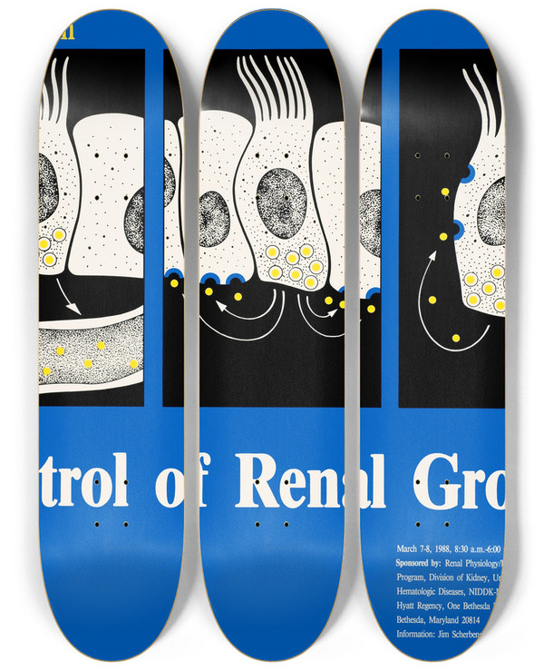Triptych art skateboard deck of National Institutes Of Health Workshop On Control Of Renal Growth by National Institutes Of Health (1887)