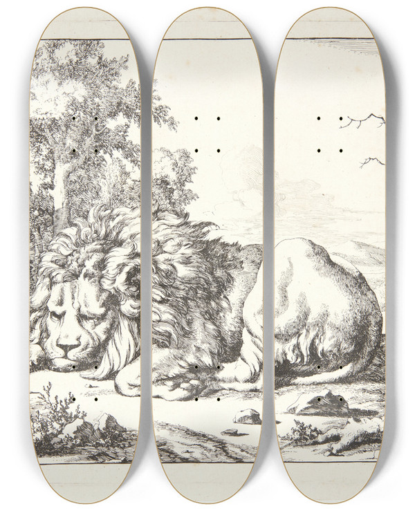 Triptych art skateboard deck of Marcus De Bye Liggende Lve Vendt Mod Venstre by Marcus de Bye (1638-1688)