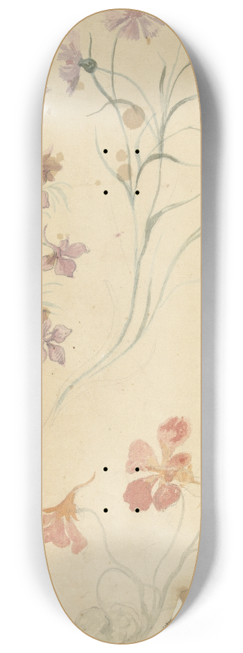 Elias van Nijmegen - Studies van ridderspoor, anjer en Oostindische kers 8.25 inch art skate deck