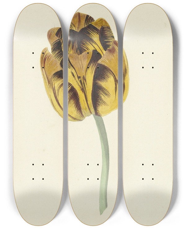 Triptych art skateboard deck of Cornelis Van Noorde Tulp Genaamd Bizard Leodie by Cornelis Van Noorde (1731-1795)