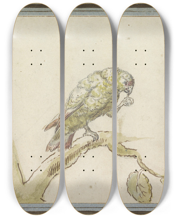 Triptych art skateboard deck of Pieter Casteels Iii Papegaai Op Een Tak Van Een Boom by Pieter Casteels Ii (1684-1749)