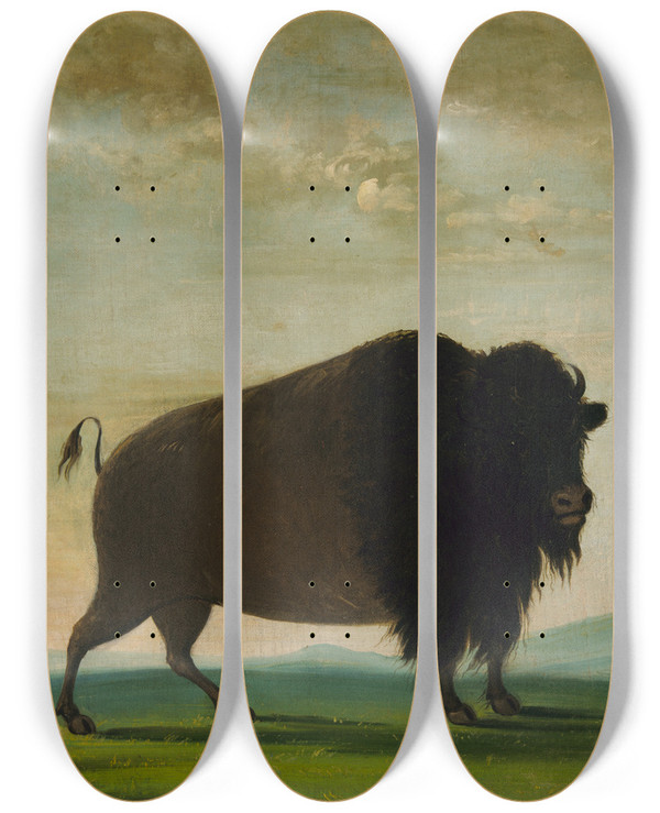 Triptych art skateboard deck of George Catlin Buffalo Cow Grazing On The Prairie by George Catlin (1796-1872)