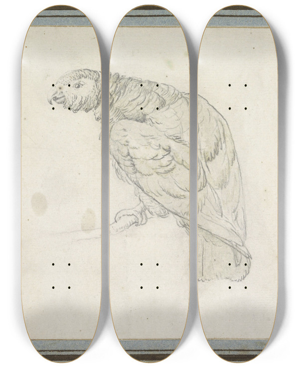 Triptych art skateboard deck of Pieter Casteels Iii Papegaai by Pieter Casteels Ii (1684-1749)