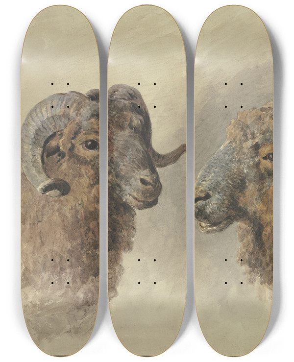Triptych art skateboard deck of Jacob Van Strij Two Sheep by Jacob Van Strij (1756-1815)