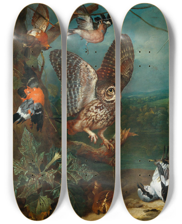 Triptych art skateboard deck of Philipp Ferdinand De Hamilton An Owl And Other Birds by Philipp Ferdinand De Hamilton (1664-1750)