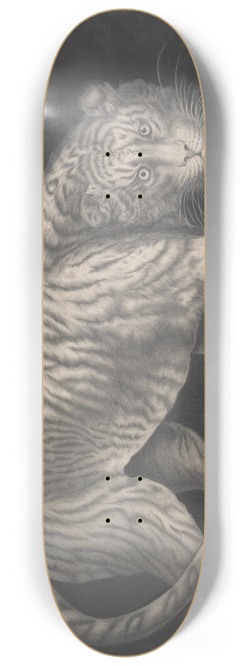 Elizabeth Pringle - A Prowling Tiger 8.25 inch art skate deck