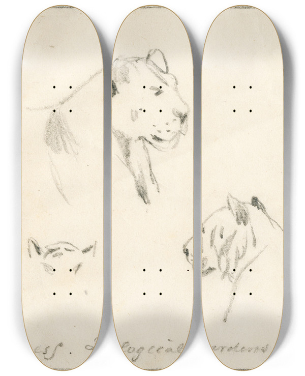 Triptych art skateboard deck of Pieter Van Loon De Kop Van Een Leeuwin by Pieter Van Loon (1801-1873)