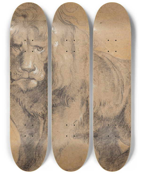 Triptych art skateboard deck of Peter Paul Rubens Lion by Peter Paul Rubens (1577-1640)