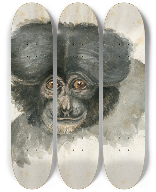 Triptych art skateboard deck of Floris Verster Head Of A Monkey by Floris Verster (1861-1927)