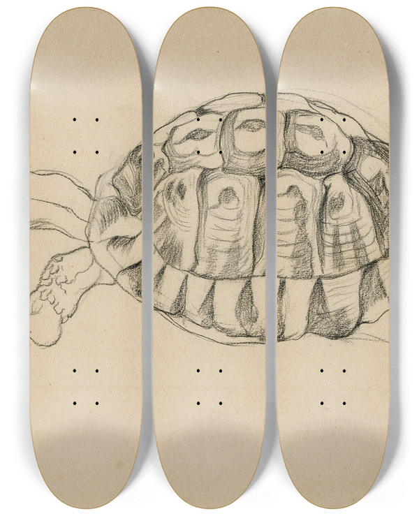 Triptych art skateboard deck of Theo Van Hoytema Een Schildpad by Theo Van Hoytema (1863-1917)