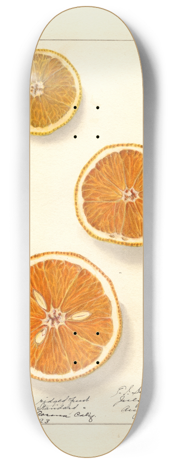 Ellen Isham Schutt - Citrus sinensis: Valencia 8.25 inch art skate deck