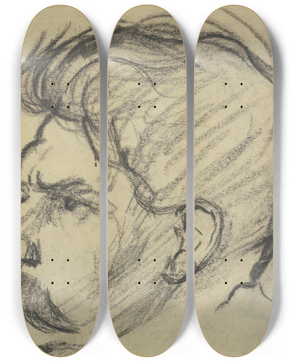 Triptych art skateboard deck of Mathilde Battenberg Albert Schweitzer_2 by Mathilde Battenberg