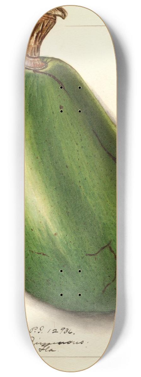 Ellen Isham Schutt - Persea: Pollock 8.25 inch art skate deck