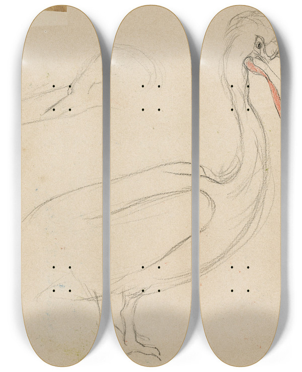 Triptych art skateboard deck of Theo Van Hoytema Een Pelikaan by Theo Van Hoytema (1863-1917)