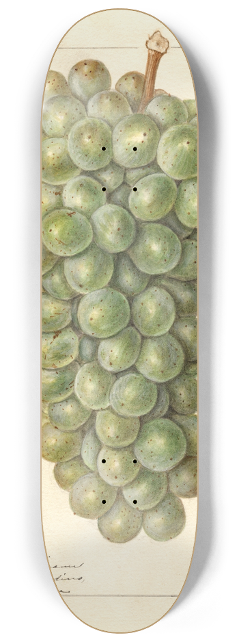 Ellen Isham Schutt - Vitis: Palarusa 8.25 inch art skate deck